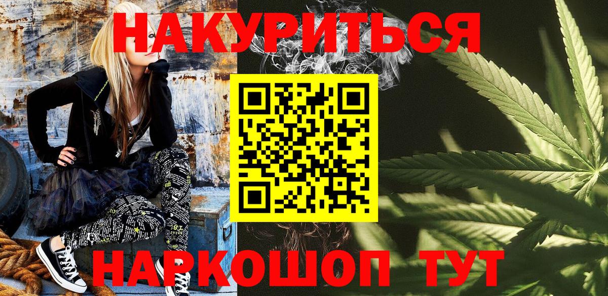 Каннабис сатива Новокубанск